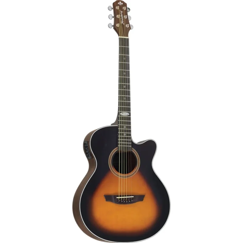 VIOLÃO STRINBERG - SA20C