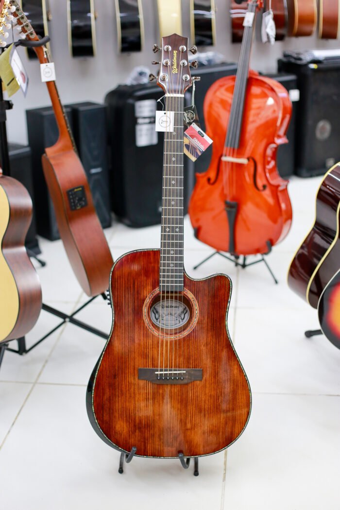 VIOLÃO WALDMAN DCEX1841