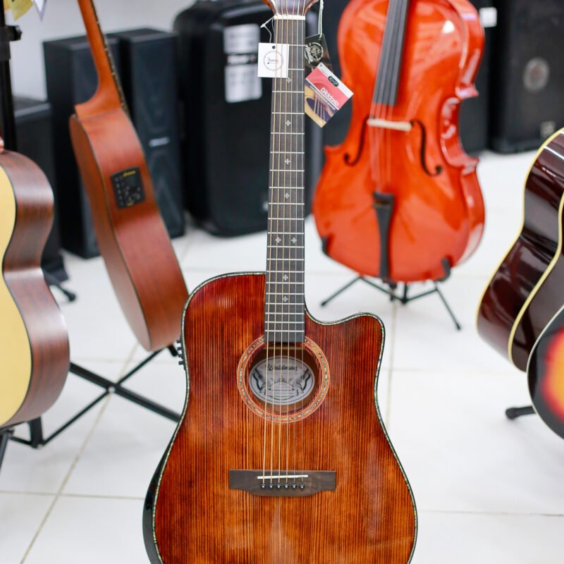VIOLÃO WALDMAN DCEX1841