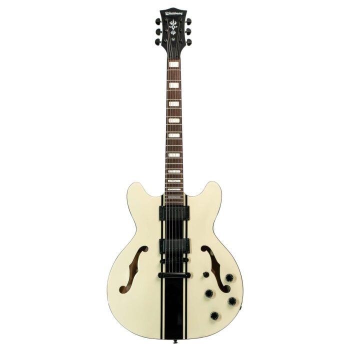 GUITARRA WALDMAN SEMI ACUSTICA GHO220SSV