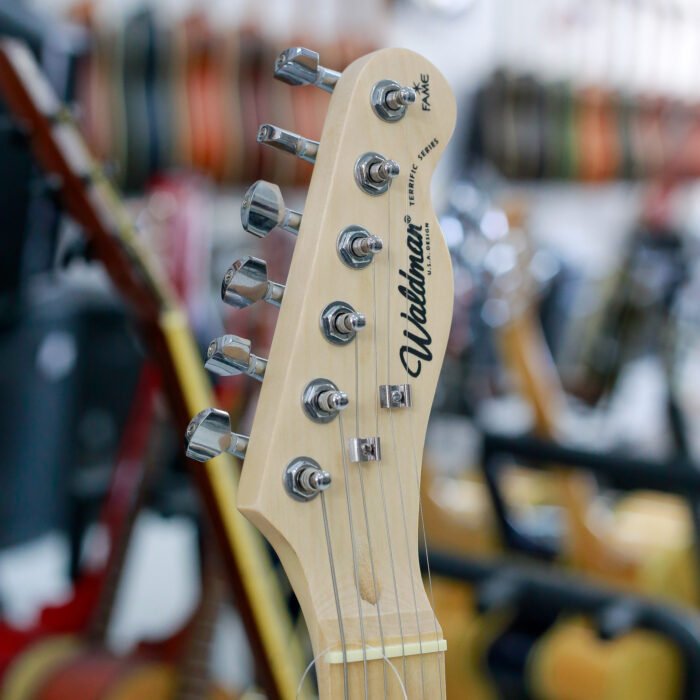 GUITARRA TELECASTER WALDMAN - Imagem 2