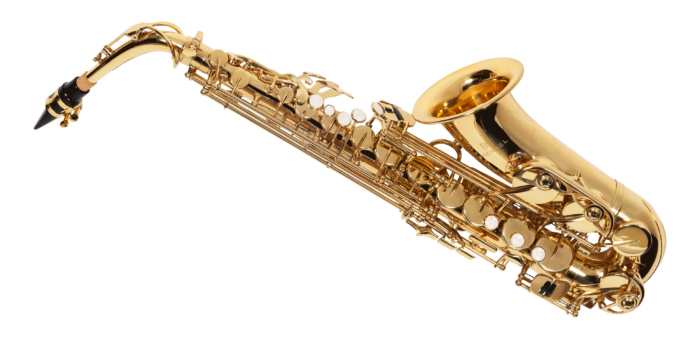 SAXOFONE ALTO MICHAEL WASM30N