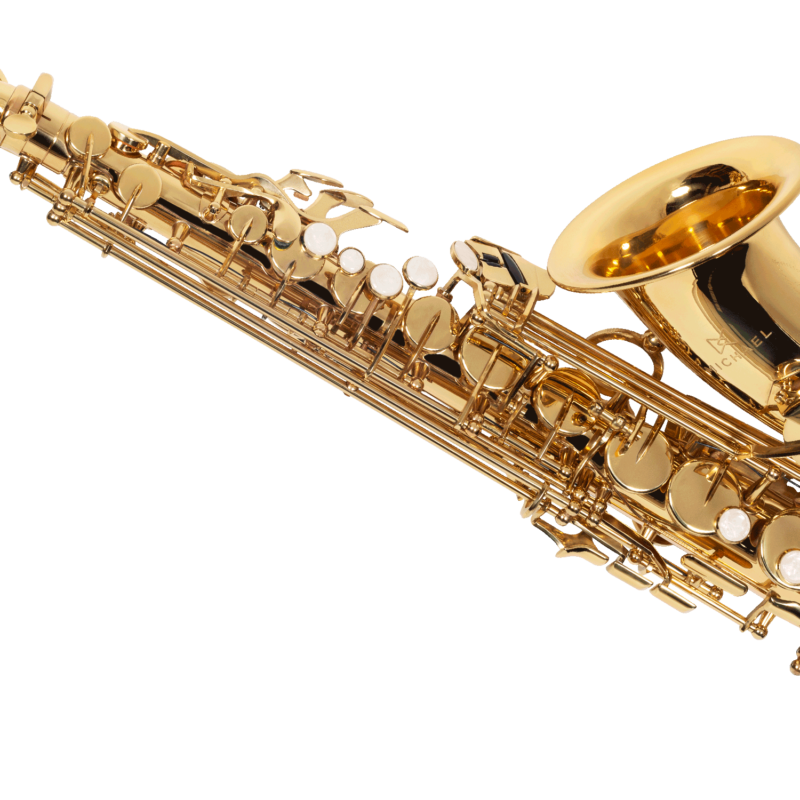 SAXOFONE ALTO MICHAEL WASM30N