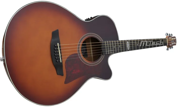 VIOLÃO STRINBERG SA200C - HBS