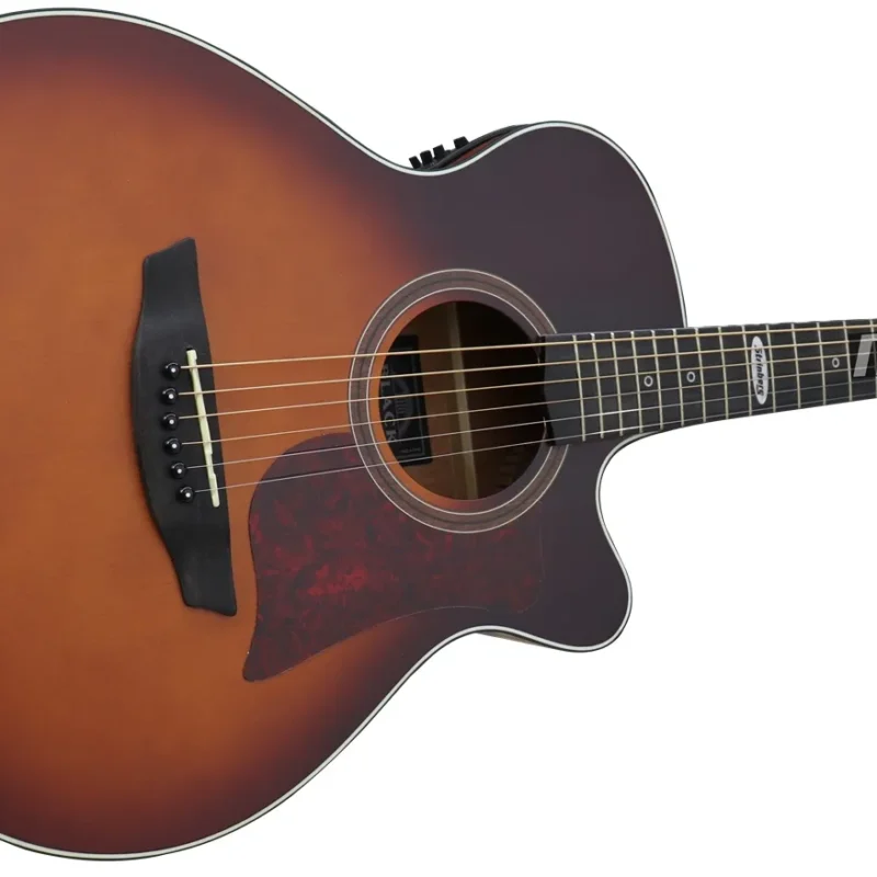 VIOLÃO STRINBERG SA200C - HBS