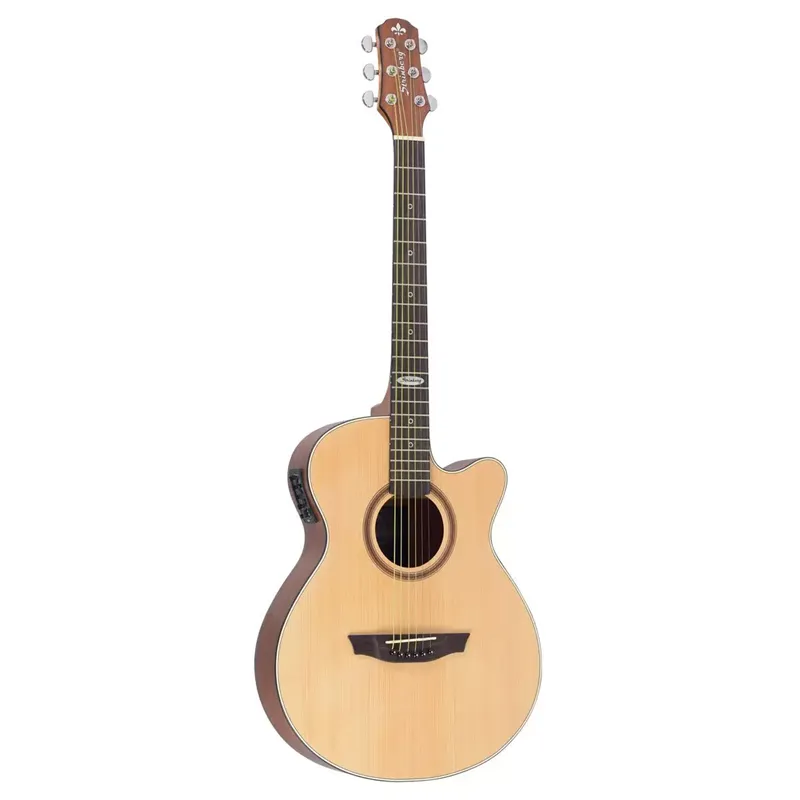 VIOLÃO STRINBERG - SA200C NS