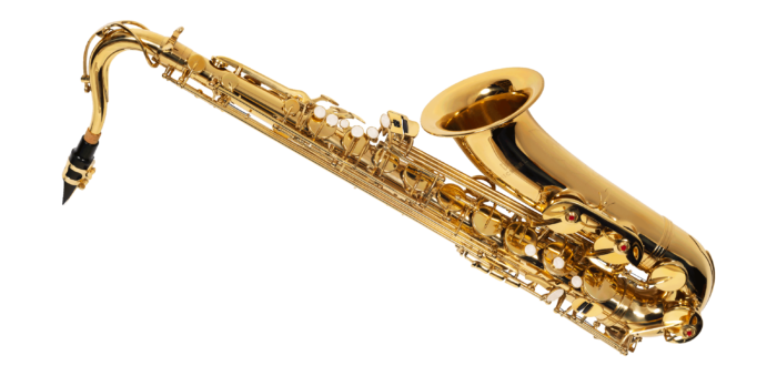 SAXOFONE TENOR MICHAEL
