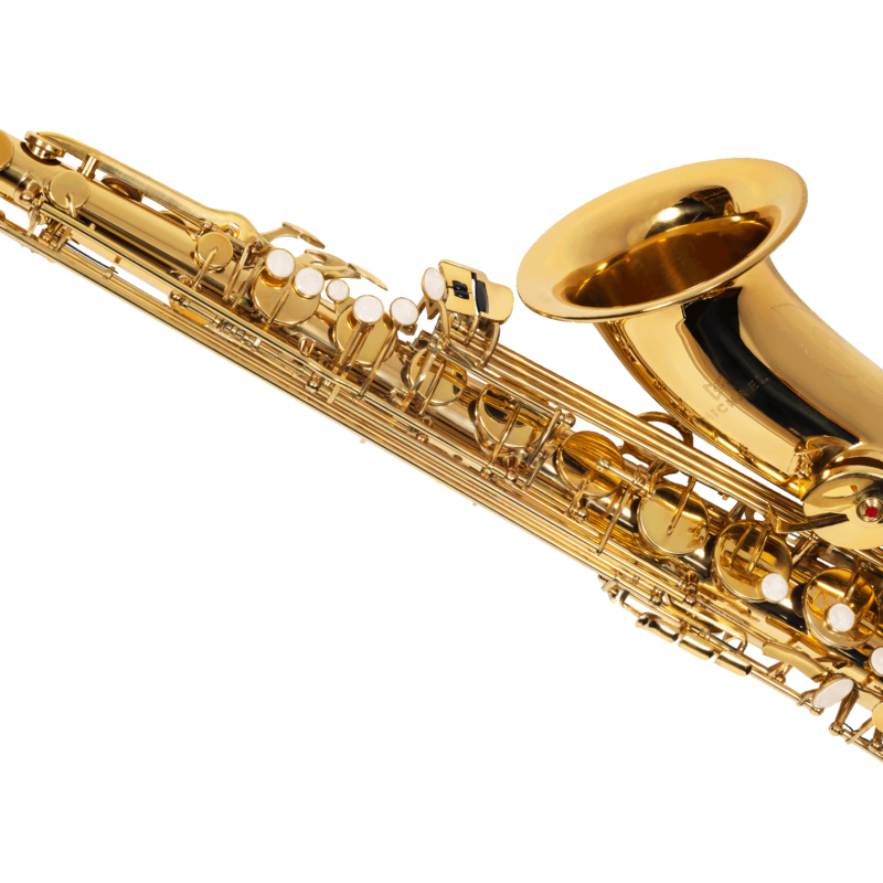 SAXOFONE TENOR MICHAEL