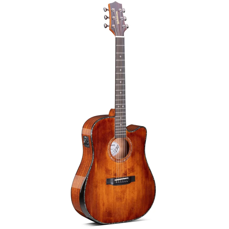 VIOLÃO WALDMAN DCEX1841