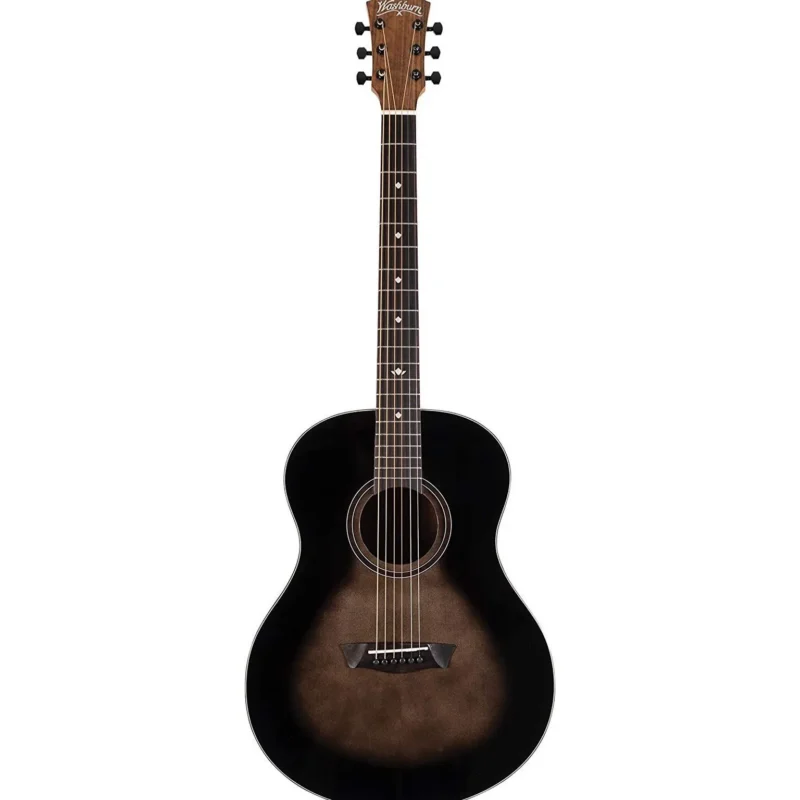 VIOLÃO WASHBURN BTS9CHD