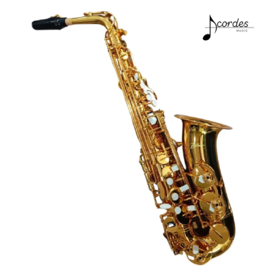Saxofone Alto Zellmer Laqueado Afinação Mib - ZAS-600L