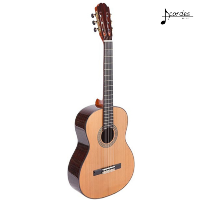 Camerata Concertista II LCS-101